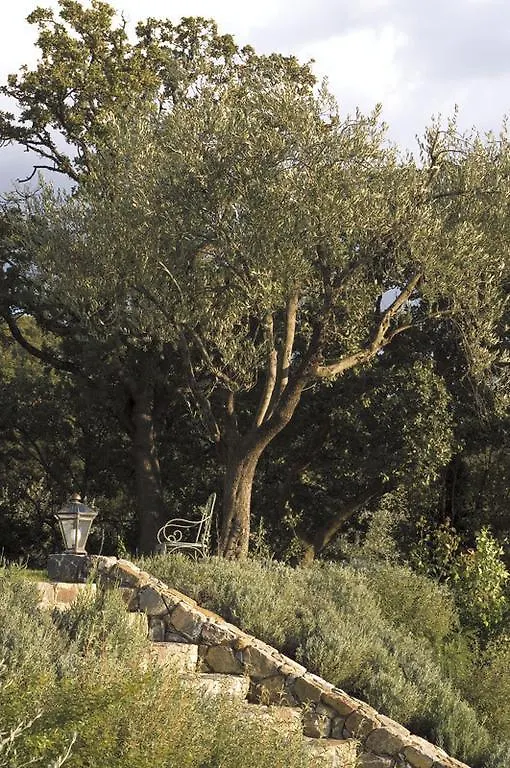 Villa Danilo By Posarellivillas San Casciano dei Bagni